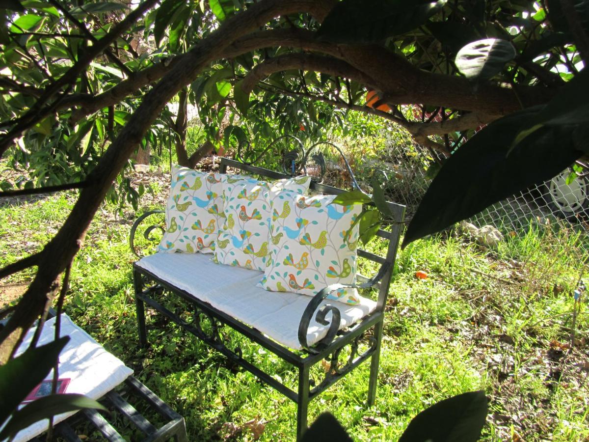 Cirali Kus Yuvasi Bed and Breakfast Rum bild