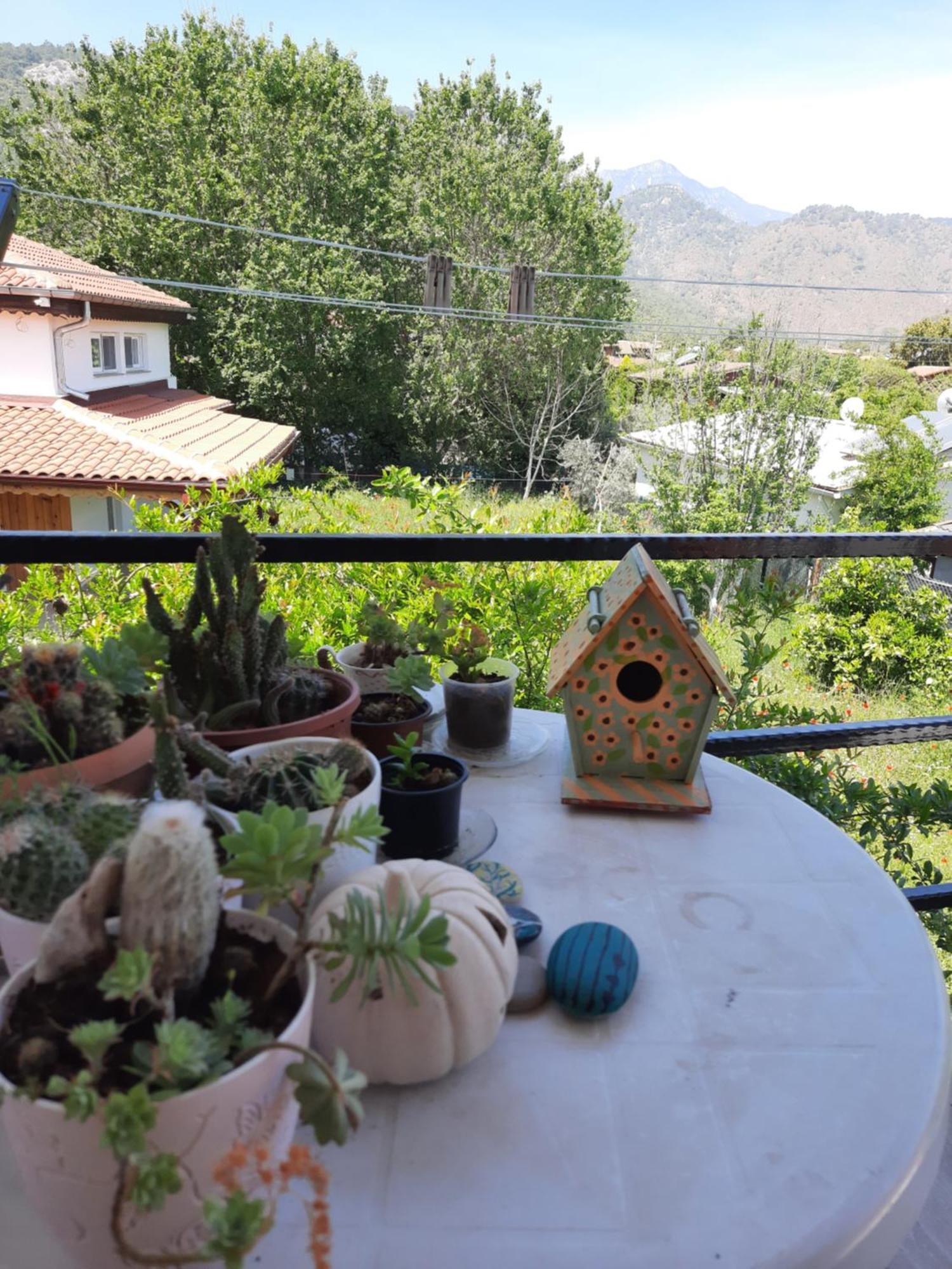 Cirali Kus Yuvasi Bed and Breakfast Rum bild